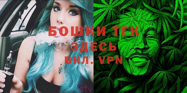 молекула духа Богородицк