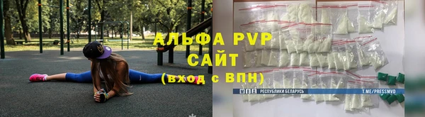 молекула духа Богородицк
