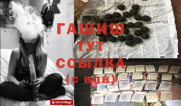 молекула духа Богородицк