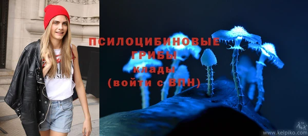 таблы Богданович