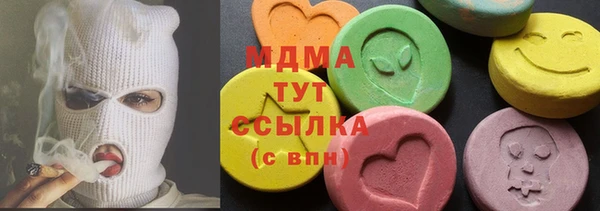 молекула духа Богородицк