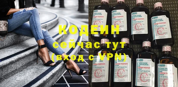 молекула духа Богородицк