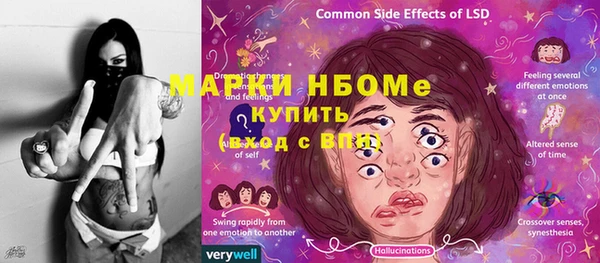 молекула духа Богородицк