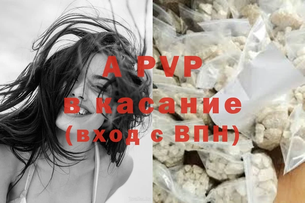 таблы Богданович
