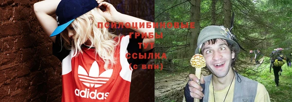 молекула духа Богородицк