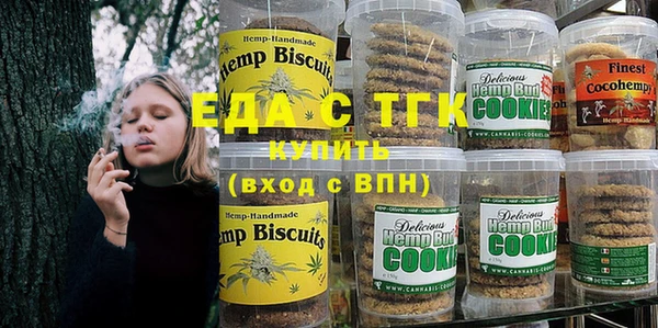 молекула духа Богородицк