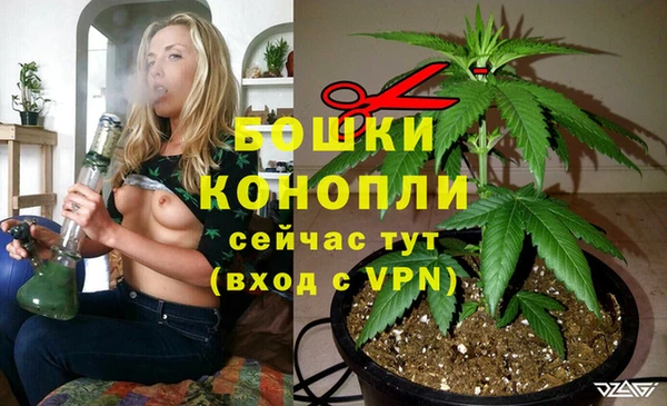 ешки Богородск