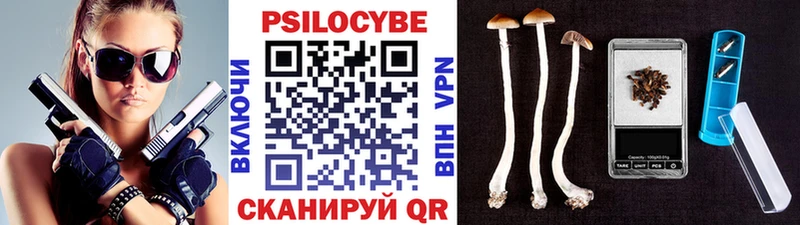 Псилоцибиновые грибы Psilocybine cubensis  гидра вход  Болгар  купить  цена 